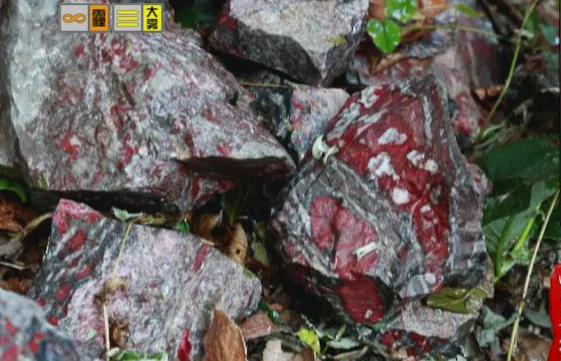 驚！神農(nóng)架無人區(qū)現(xiàn)神秘玉石