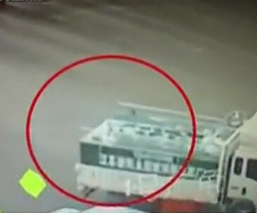 車上掉下魚(yú) 交警忙追回