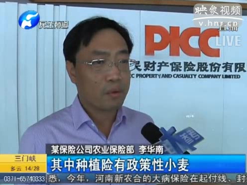 冰雹惹禍 損失能索賠嗎？