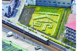 日本2005年列車事故現場附近的一塊農田里勾勒出一個“命”字，以警世人。