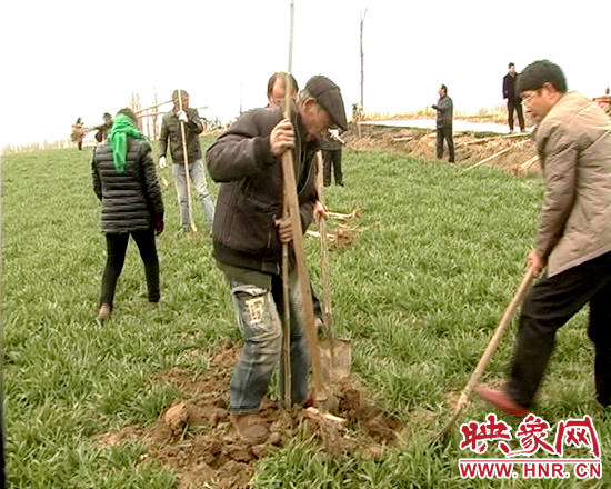 彭橋鄉(xiāng)鄉(xiāng)長鄧彥雷義務(wù)植樹